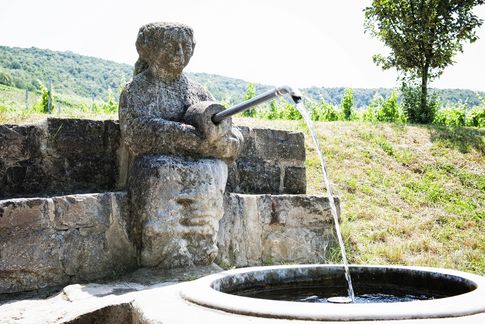 Erfassung (historischer) Kulturlandschaftselemente